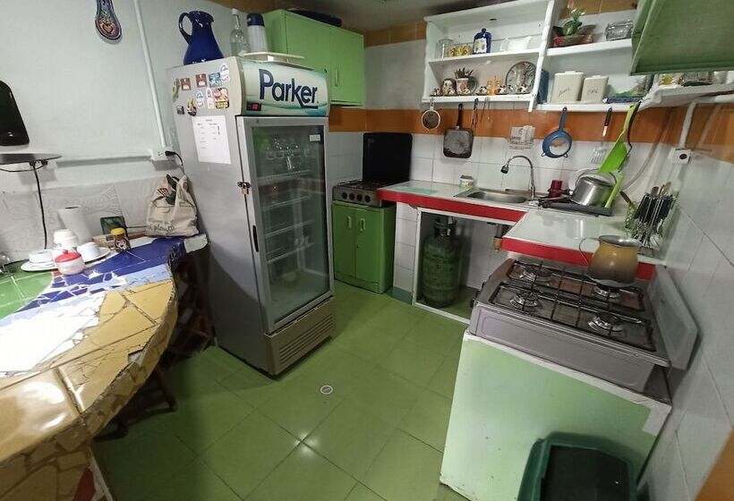 هتل Posada Nativa Lizard House