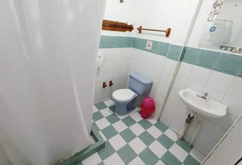 Hotel Posada Nativa Lizard House