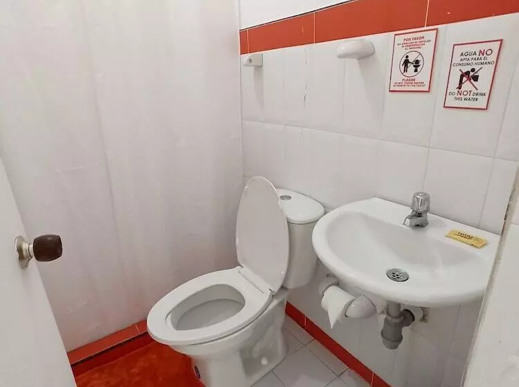 Hotel Posada Nativa Lizard House