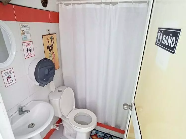 Hotel Posada Nativa Lizard House