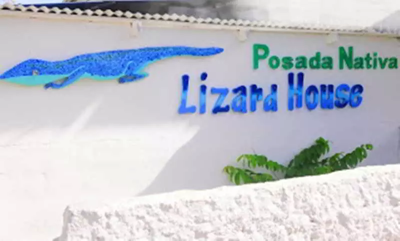 Hotel Posada Nativa Lizard House