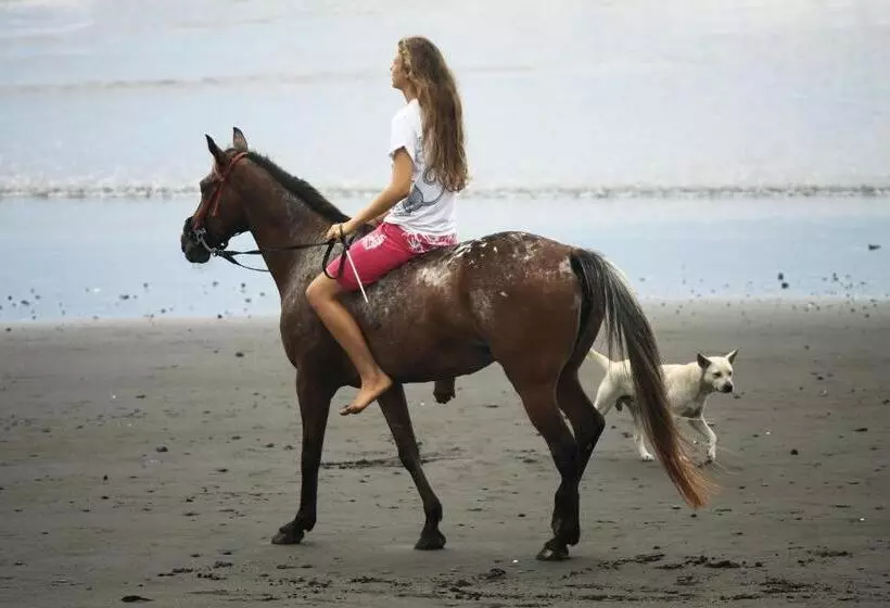 Отель The Royal Purnama   Adults Only