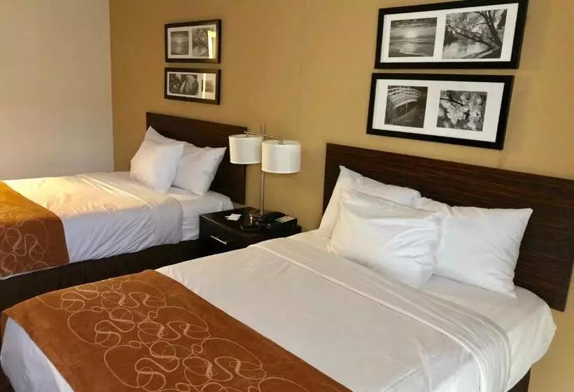 Отель The Vue Inn Brooklyn