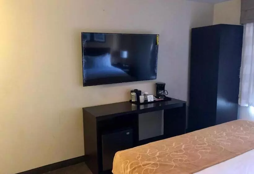 Отель The Vue Inn Brooklyn