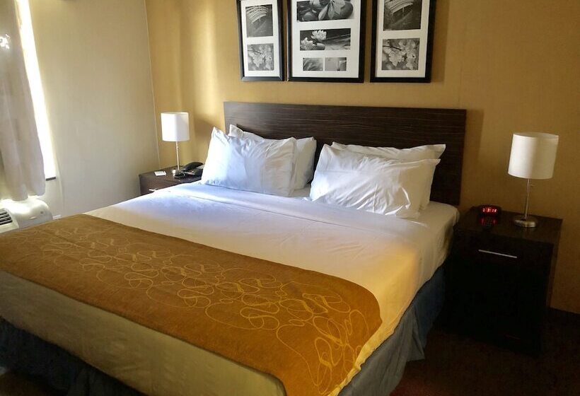 فندق The Vue Inn Brooklyn