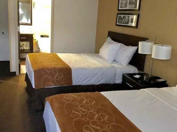 Отель The Vue Inn Brooklyn