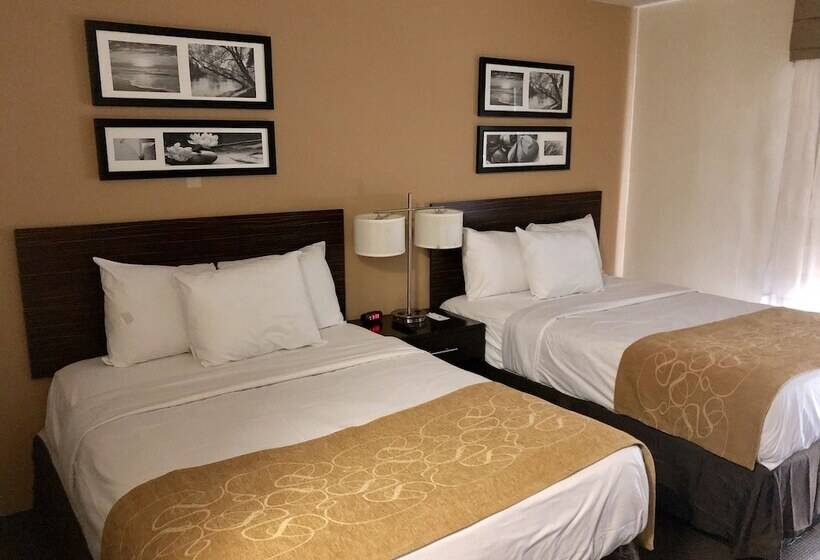 فندق The Vue Inn Brooklyn