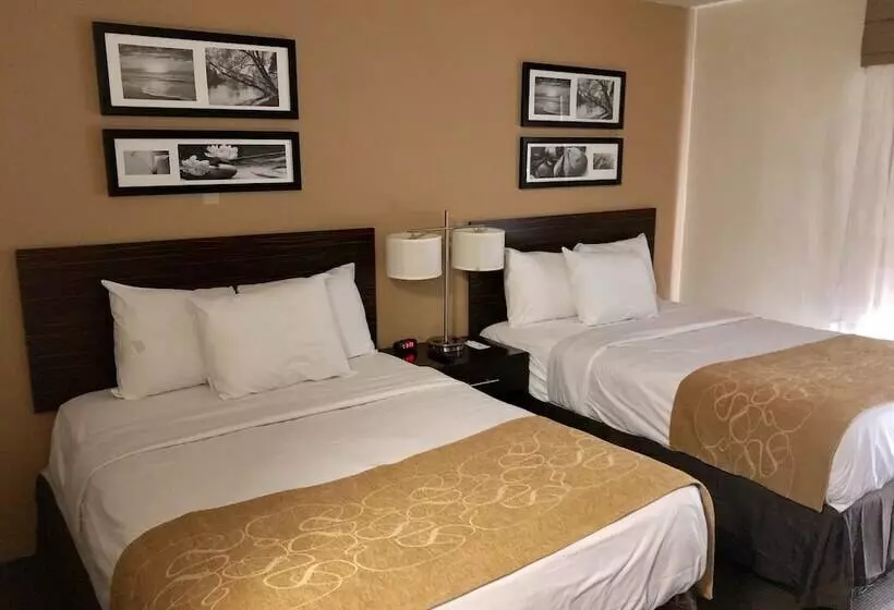 Отель The Vue Inn Brooklyn