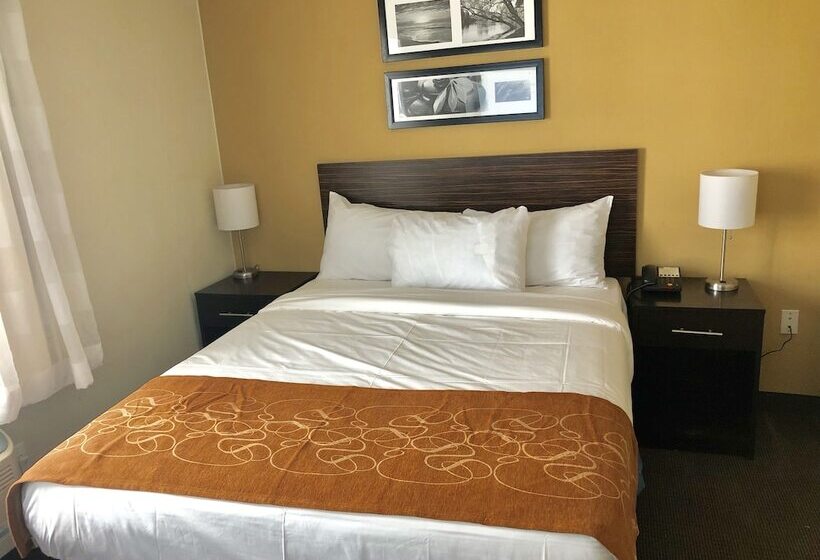 فندق The Vue Inn Brooklyn