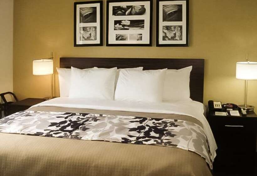 فندق The Vue Inn Brooklyn