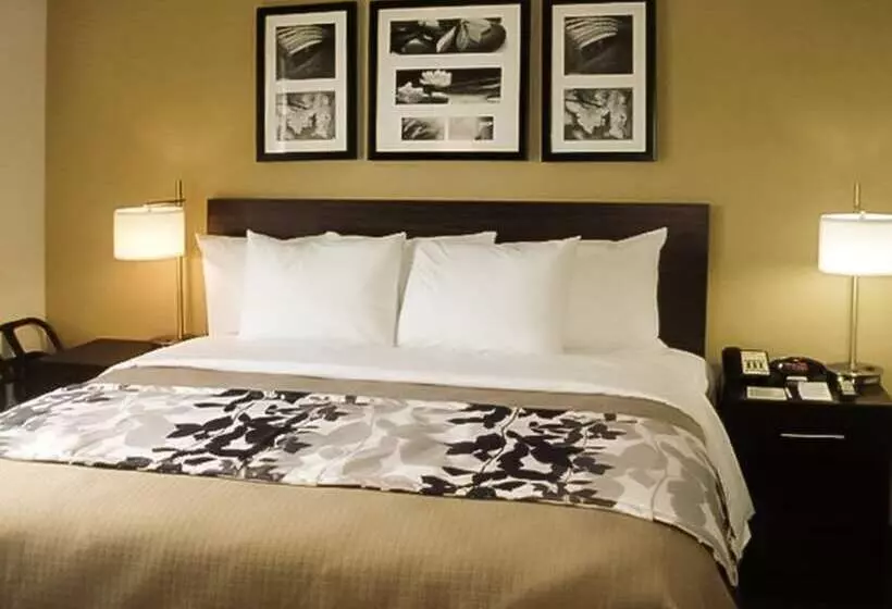 Отель The Vue Inn Brooklyn