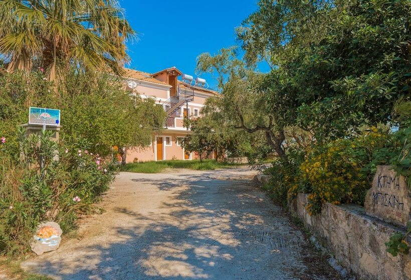 Kavos Psarou Studios And Apartments