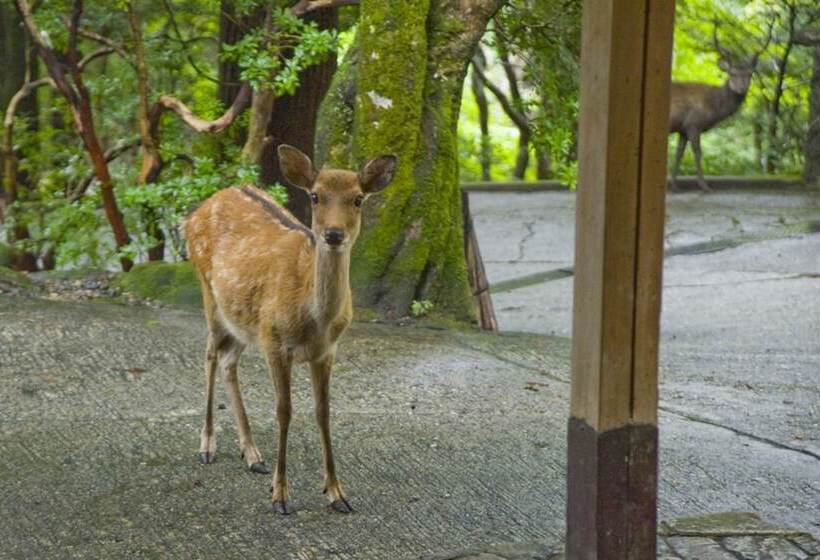 ריוקאן Tsukihitei