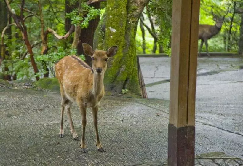 Рёкан Tsukihitei