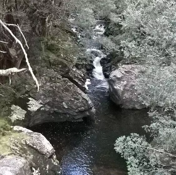 Tranquilles Bed & Breakfast