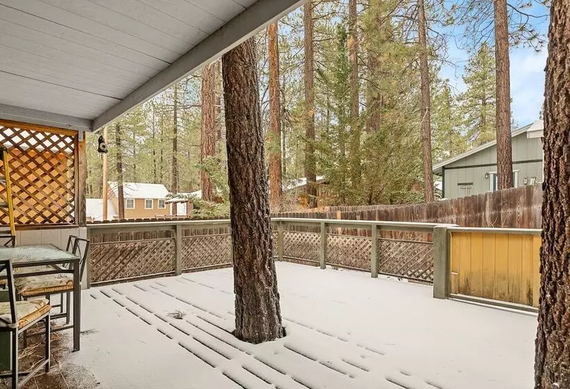 Happy Bear Cabin Hike, Bike & More!