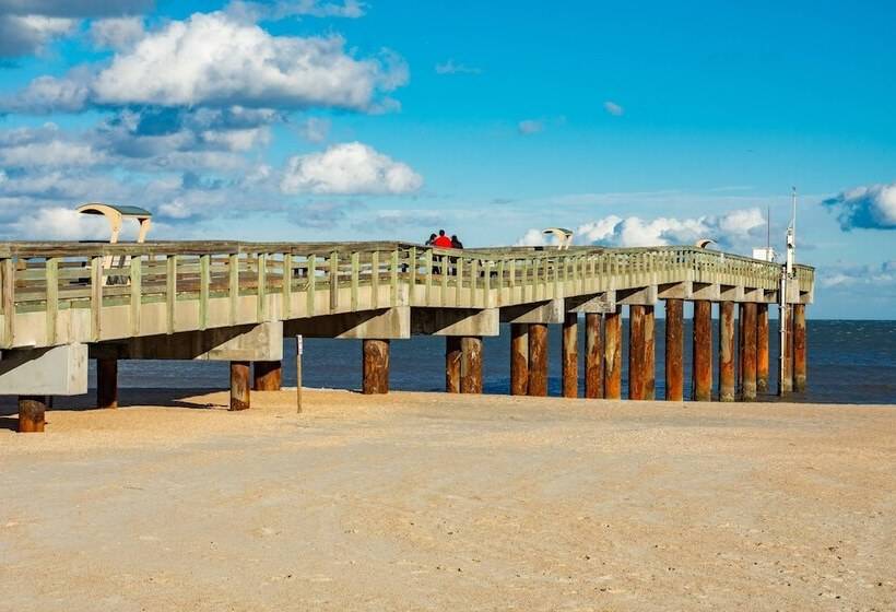 Little Palm Hideaway Cottage