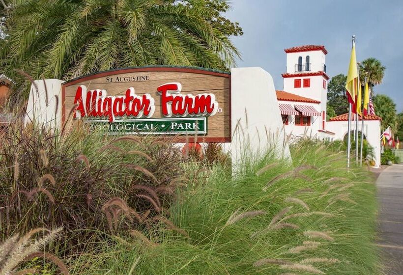 Little Palm Hideaway Cottage