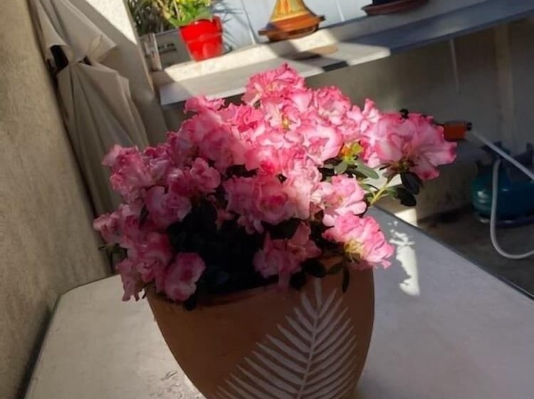 ペンション Chambre Proche Gare Et Centre Ville