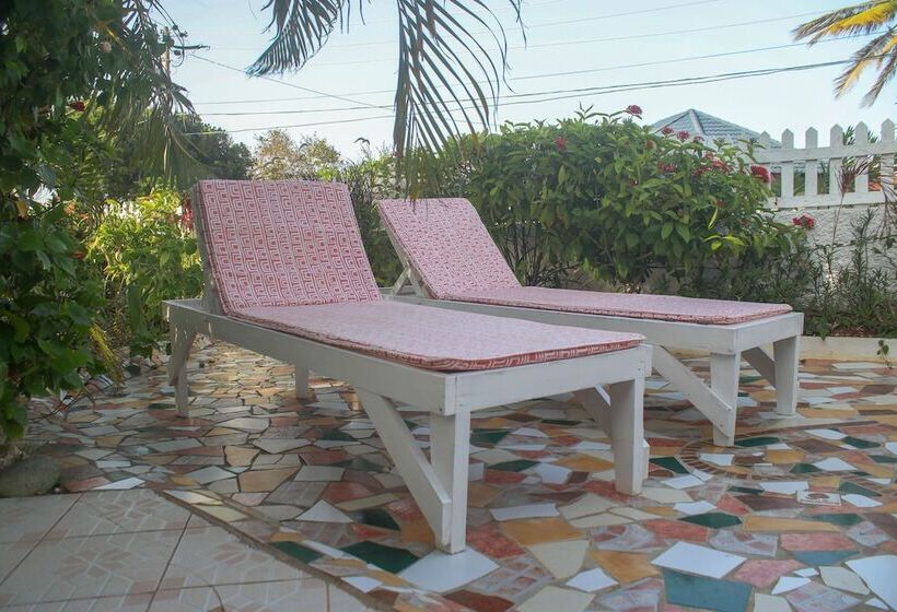 پانسیون One Rythm