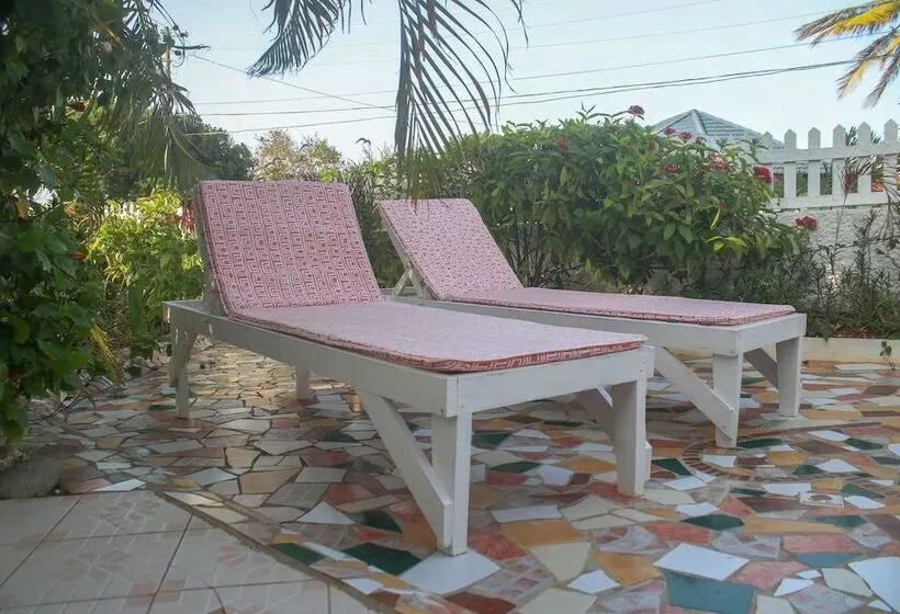 پانسیون One Rythm