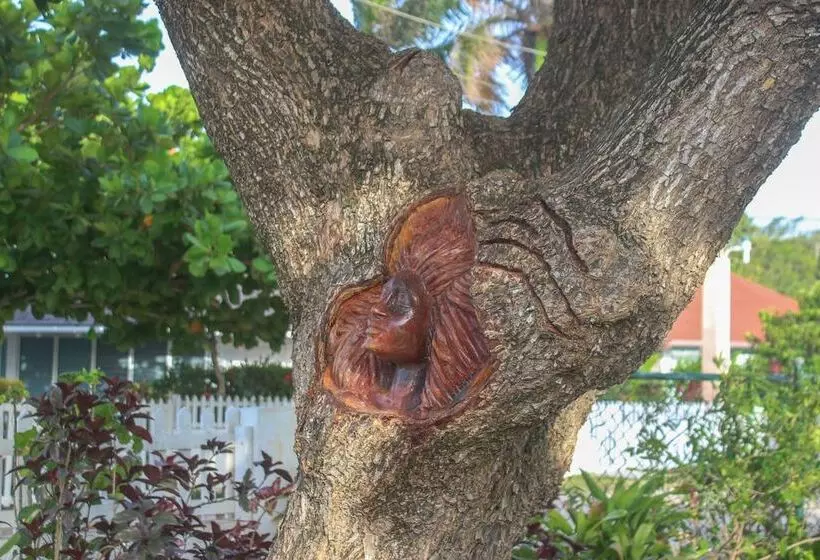 پانسیون One Rythm