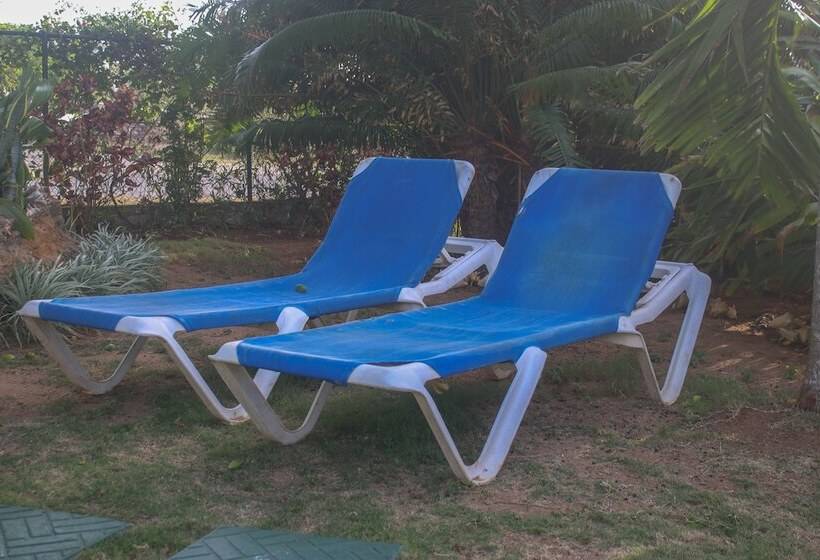 پانسیون One Rythm