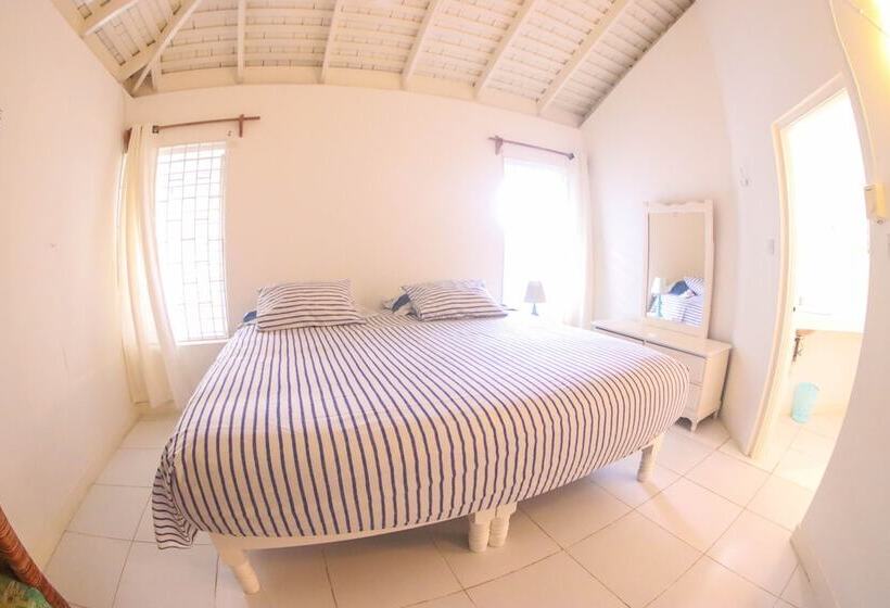 پانسیون One Rythm