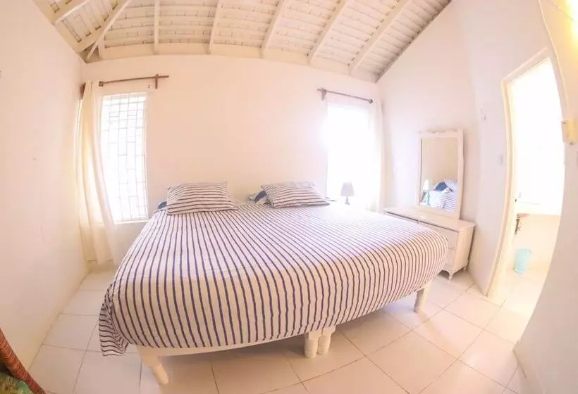 پانسیون One Rythm