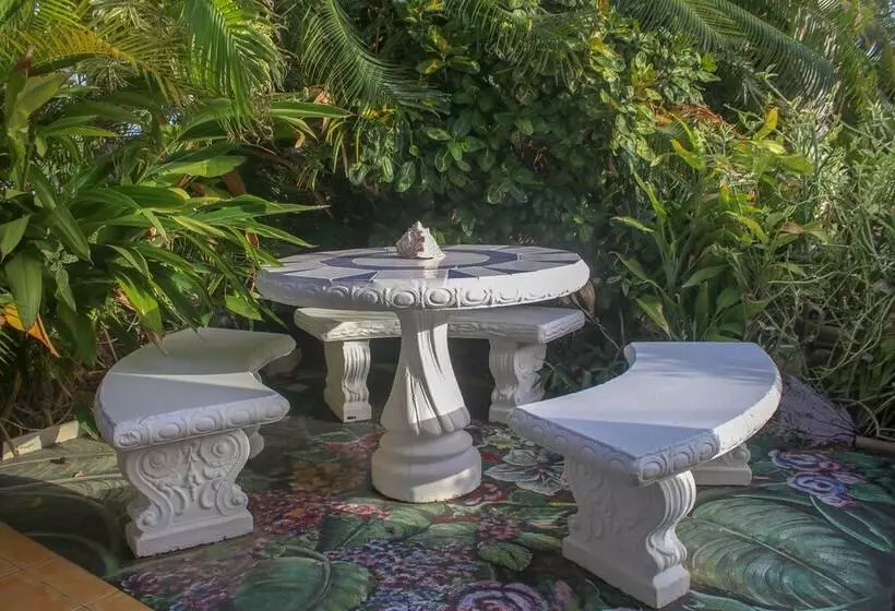 پانسیون One Rythm