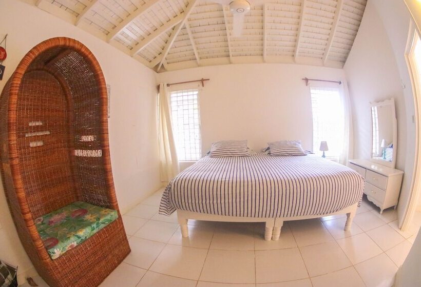 پانسیون One Rythm