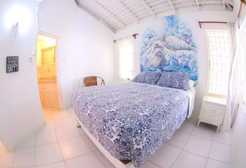 پانسیون One Rythm