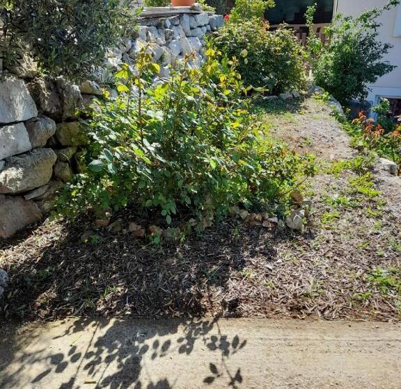 Общежитие Apartments Dalamar