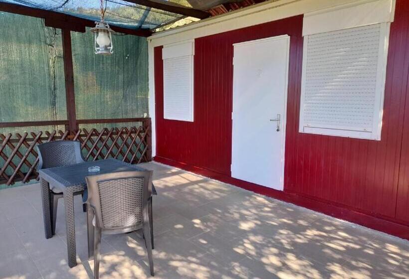 Общежитие Apartments Dalamar