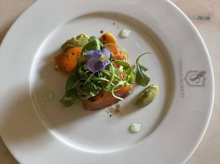 酒店 Château Du Souzy