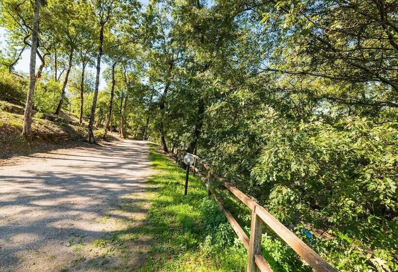 Romantic Cottage In San Feliciano With Garden