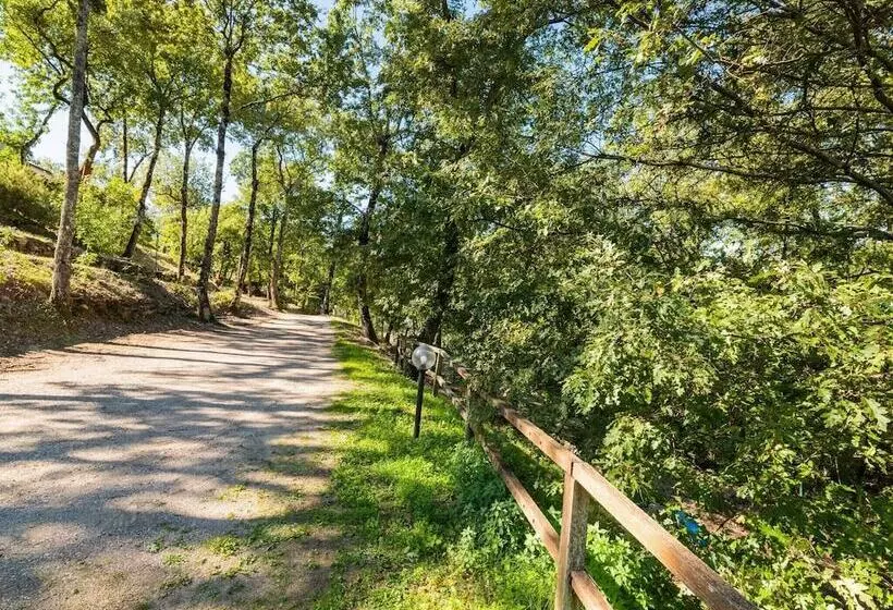 Romantic Cottage In San Feliciano With Garden