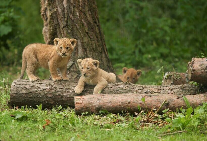 Hotel Pinewood At Port Lympne Reserve