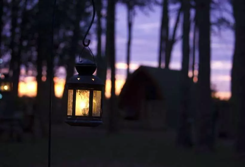 Hotelli Pinewood   At Port Lympne Reserve