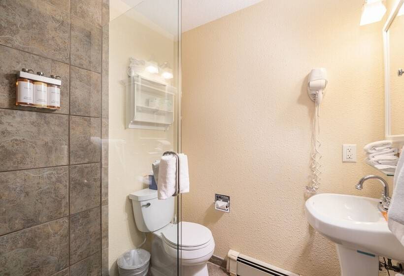 Manitou Lodge 2 By Alpine Lodging Telluride