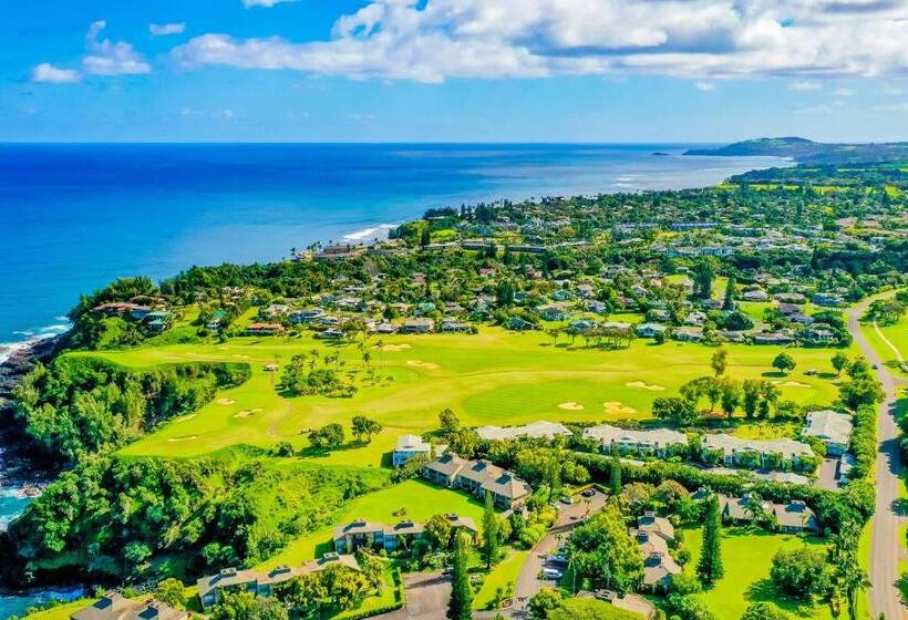 فندق Hale Moi #103