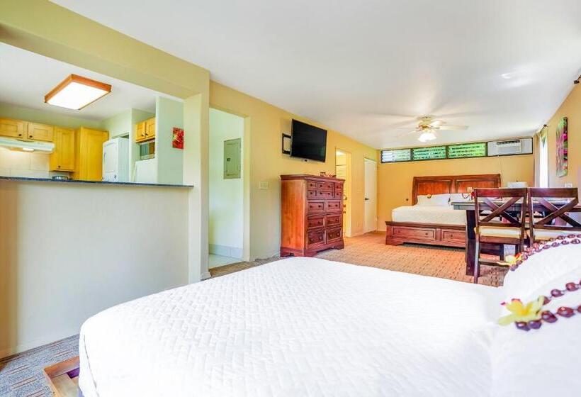 فندق Hale Moi #103