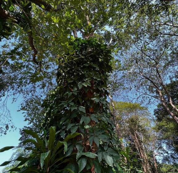 בית מלון כפרי Lao Lake House