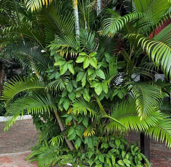 בית מלון כפרי Lao Lake House