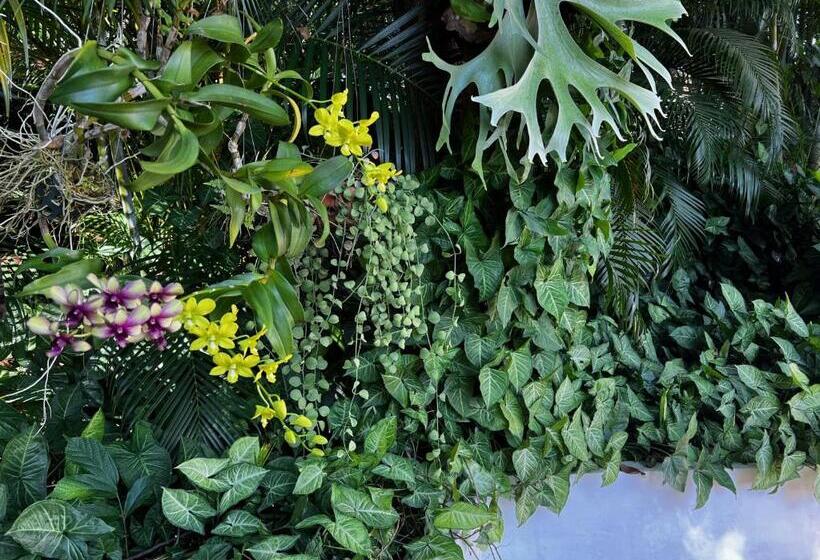 בית מלון כפרי Lao Lake House