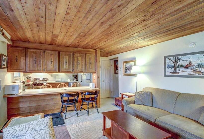 호텔 Okemo Trailside 08e