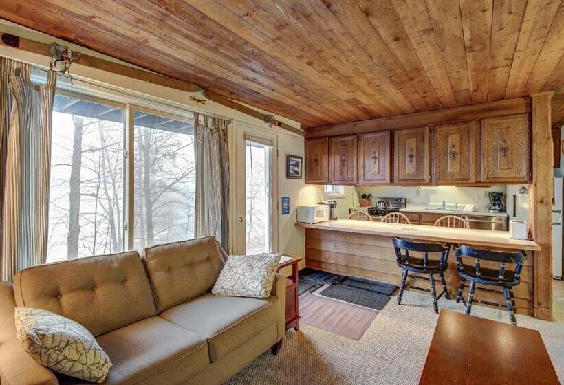 호텔 Okemo Trailside 08e