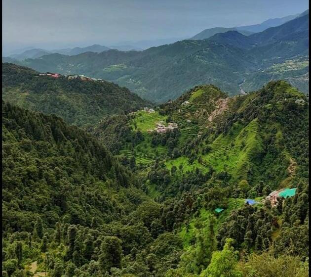 ホテル Spot On Ferns Camp