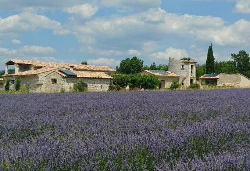 Bed and Breakfast Le Mas Des Lavandes
