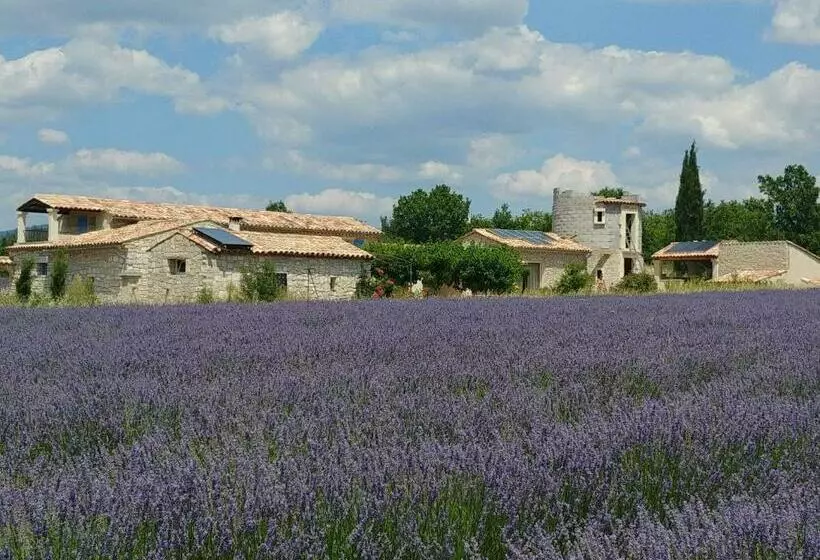 Aamiaismajoitus (B&B) Le Mas Des Lavandes